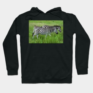 Wildlife African Zebra Hoodie